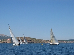 la solitaire 174